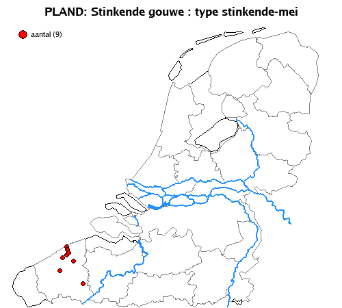 stinkende-mei